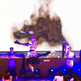 V赸ˇ(jng)o(j)˾