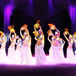 Vݸ轛(jng)o(j)˾