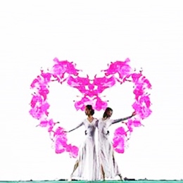 Vҕl(dng)ݳ(jng)o(j)˾